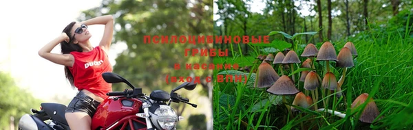 дурь Верхний Тагил